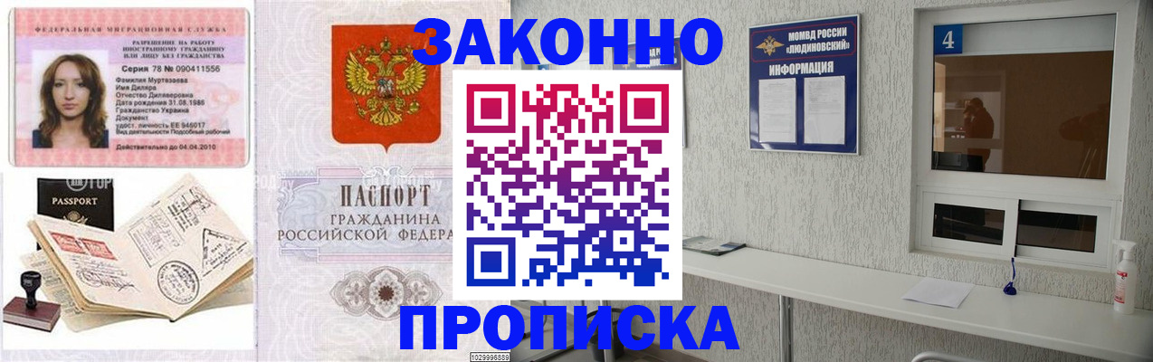 прописка в квартире в Брянске